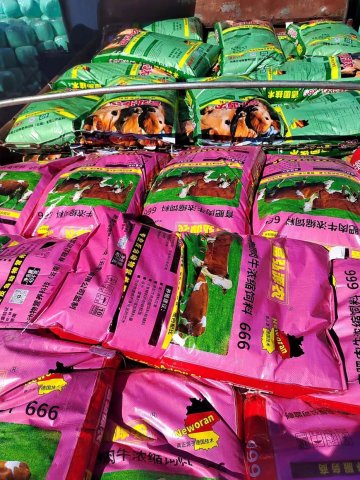 ţ��Ũ����