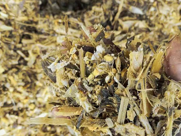 �������׽ո�����