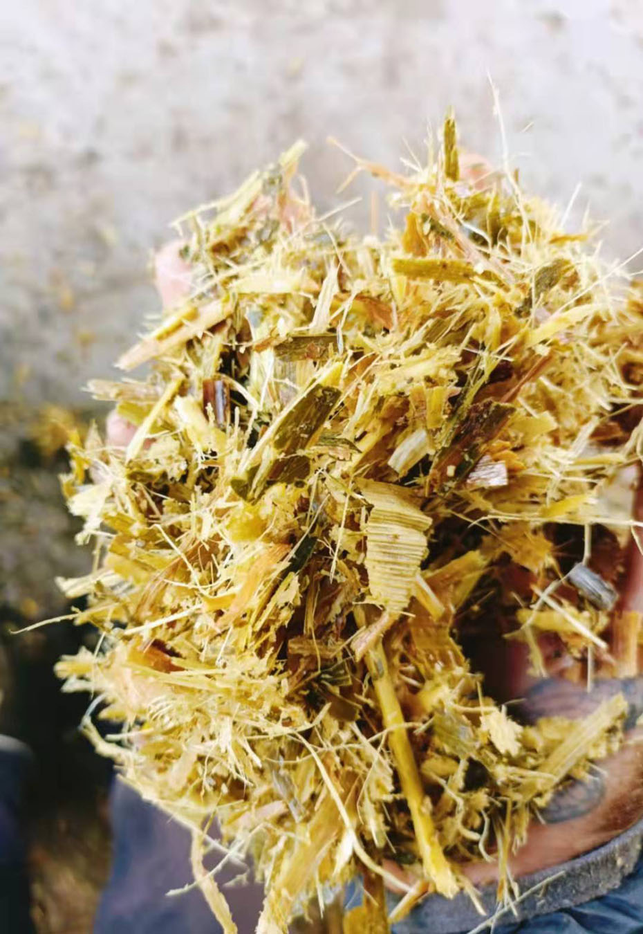 ��Ϫ���׽ո�����