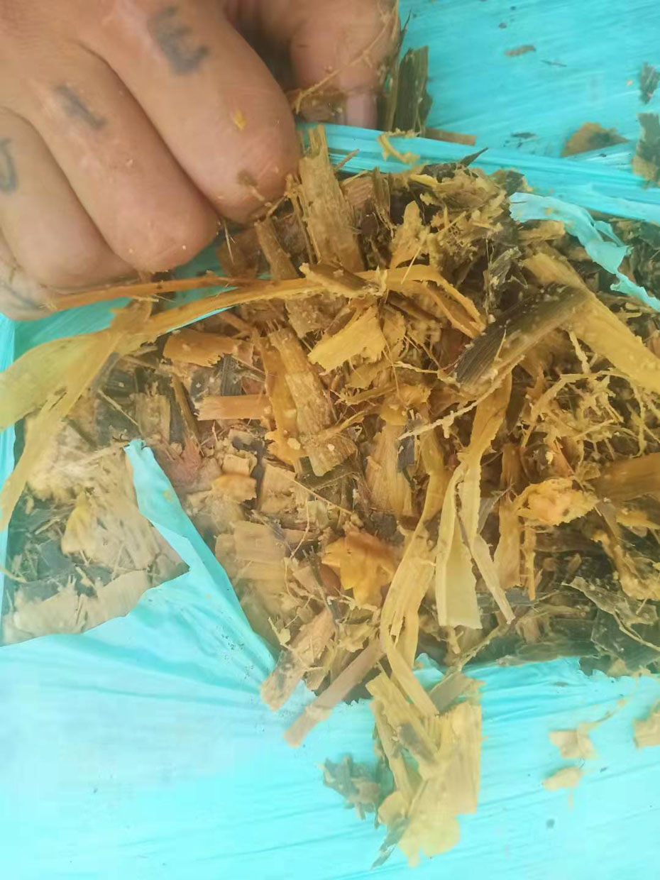 ���׽ո�����