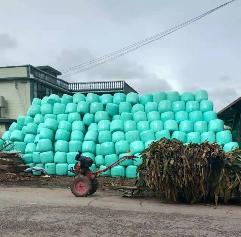 ���Ͻո�����