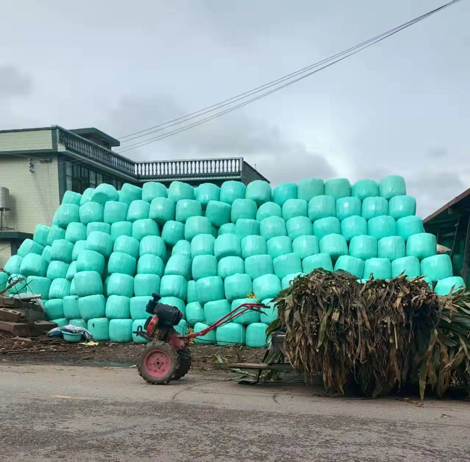 ���Ͻո�����