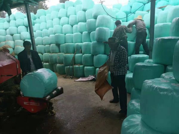 �����ո�����