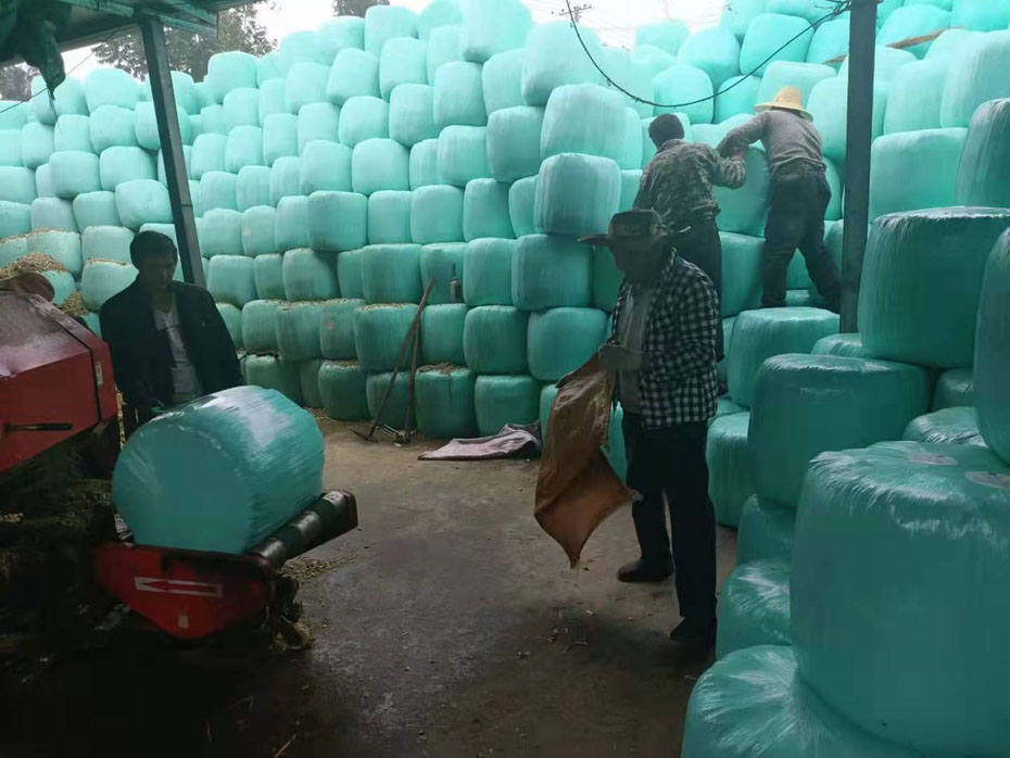 �ո�����