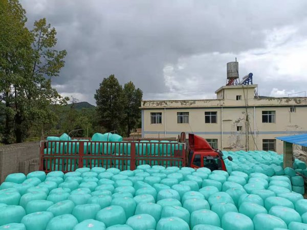 ����������������