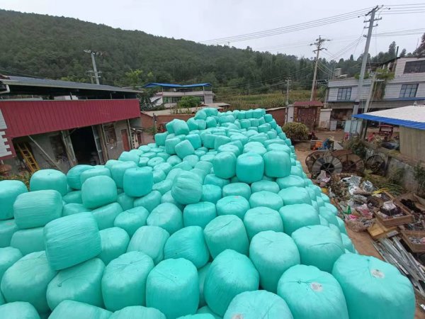 ����������������