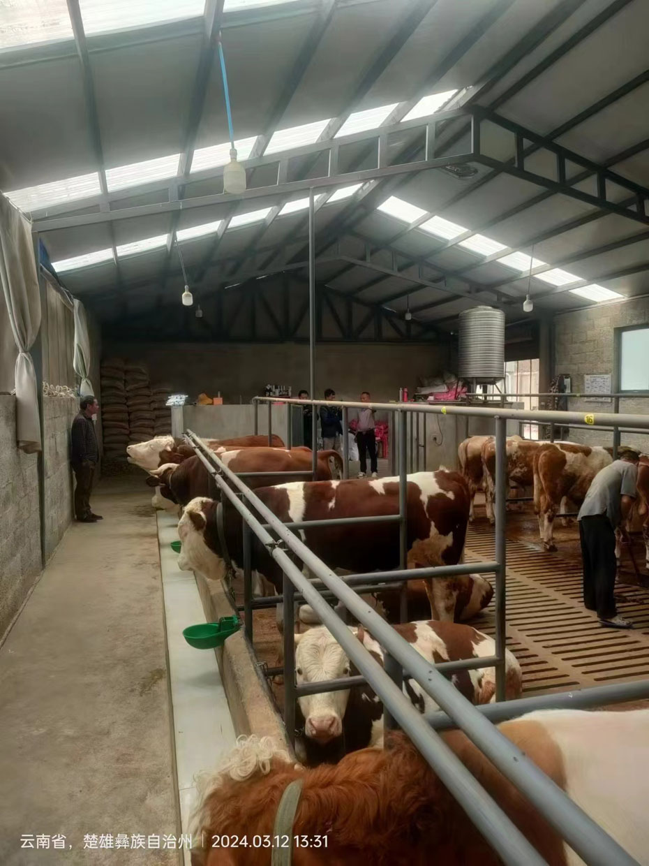 ����������