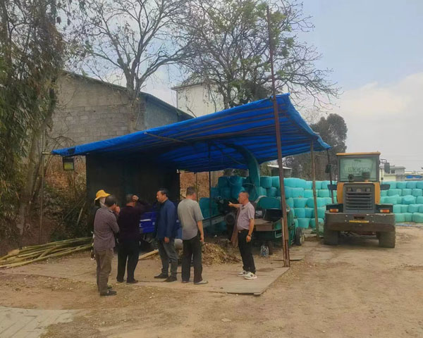 �ɹ�����